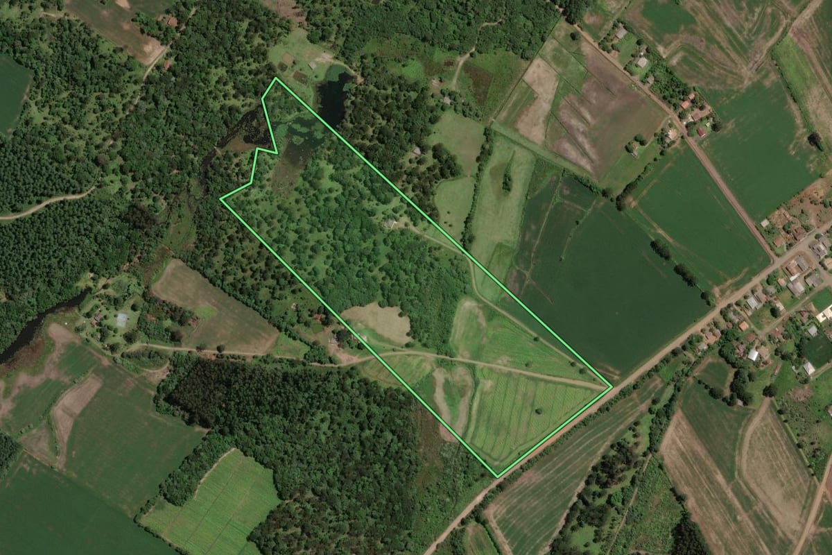 Imagem de satélite do imóvel rural em Paula Freitas (PR), com o contorno declarado no CAR desenhado por cima.