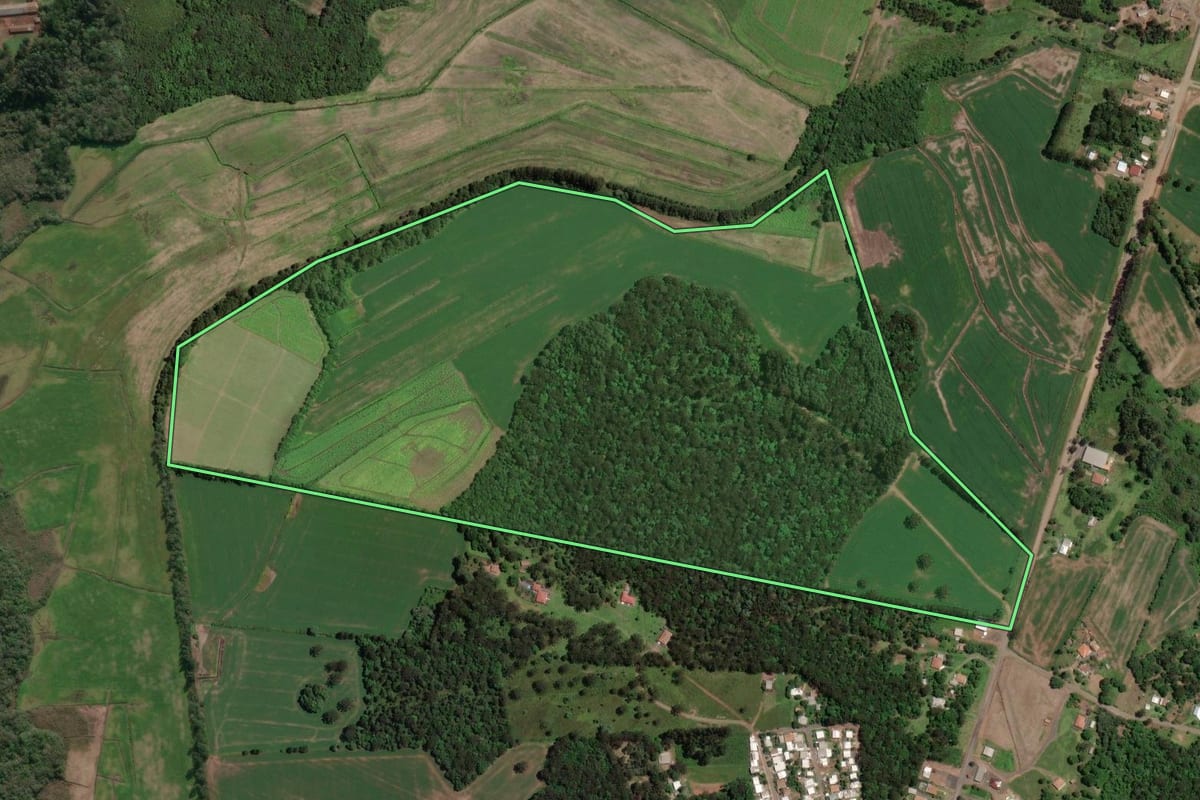 Imagem de satélite do imóvel rural em Paula Freitas (PR), com o contorno declarado no CAR desenhado por cima.