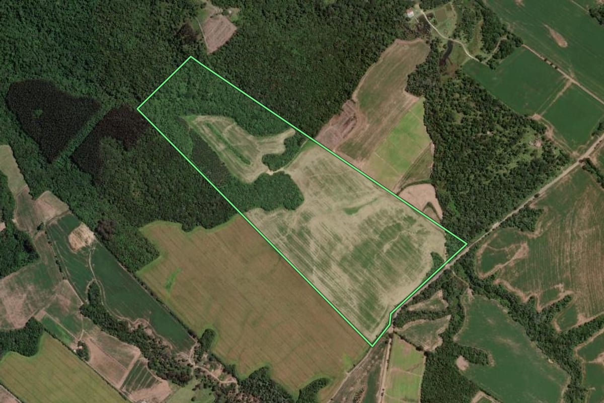 Imagem de satélite do imóvel rural em Paula Freitas (PR), com o contorno declarado no CAR desenhado por cima.