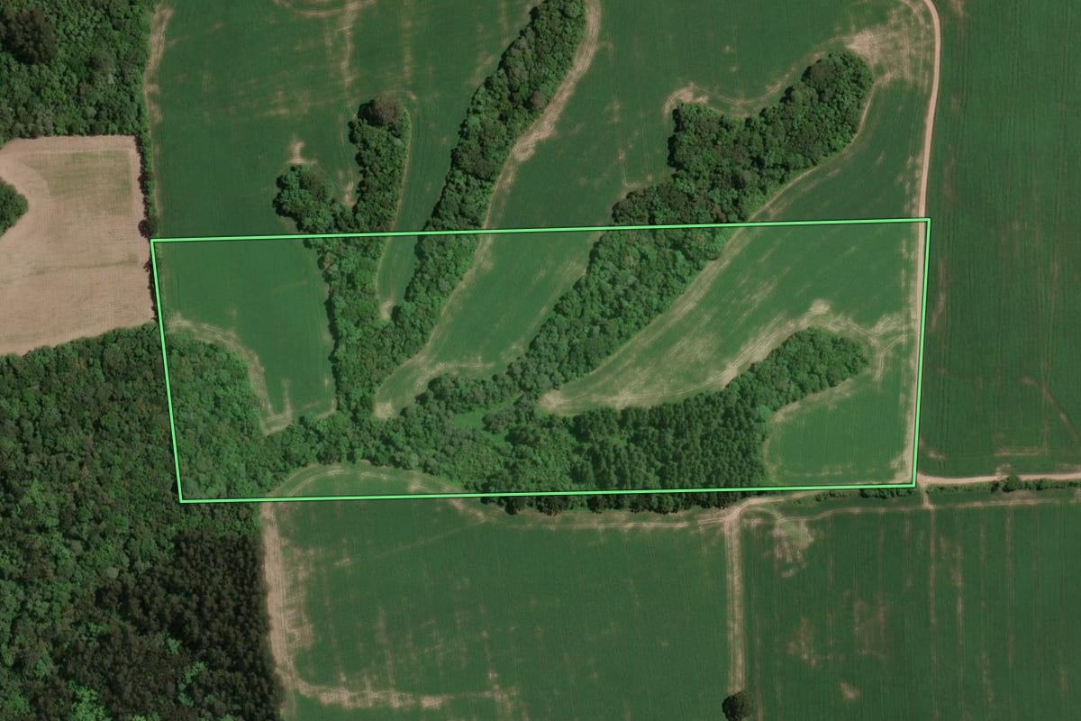 Imagem de satélite do imóvel rural em Paula Freitas (PR), com o contorno declarado no CAR desenhado por cima.