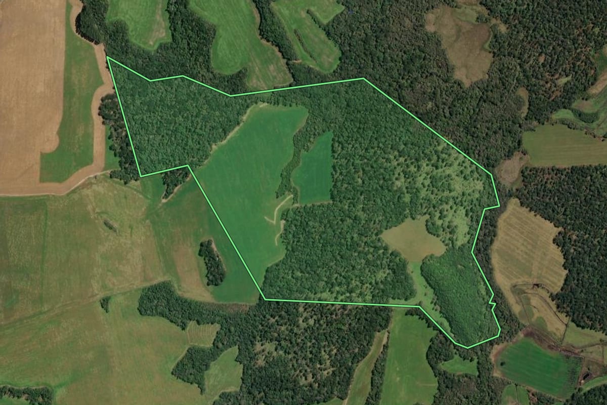 Imagem de satélite do imóvel rural em Paula Freitas (PR), com o contorno declarado no CAR desenhado por cima.
