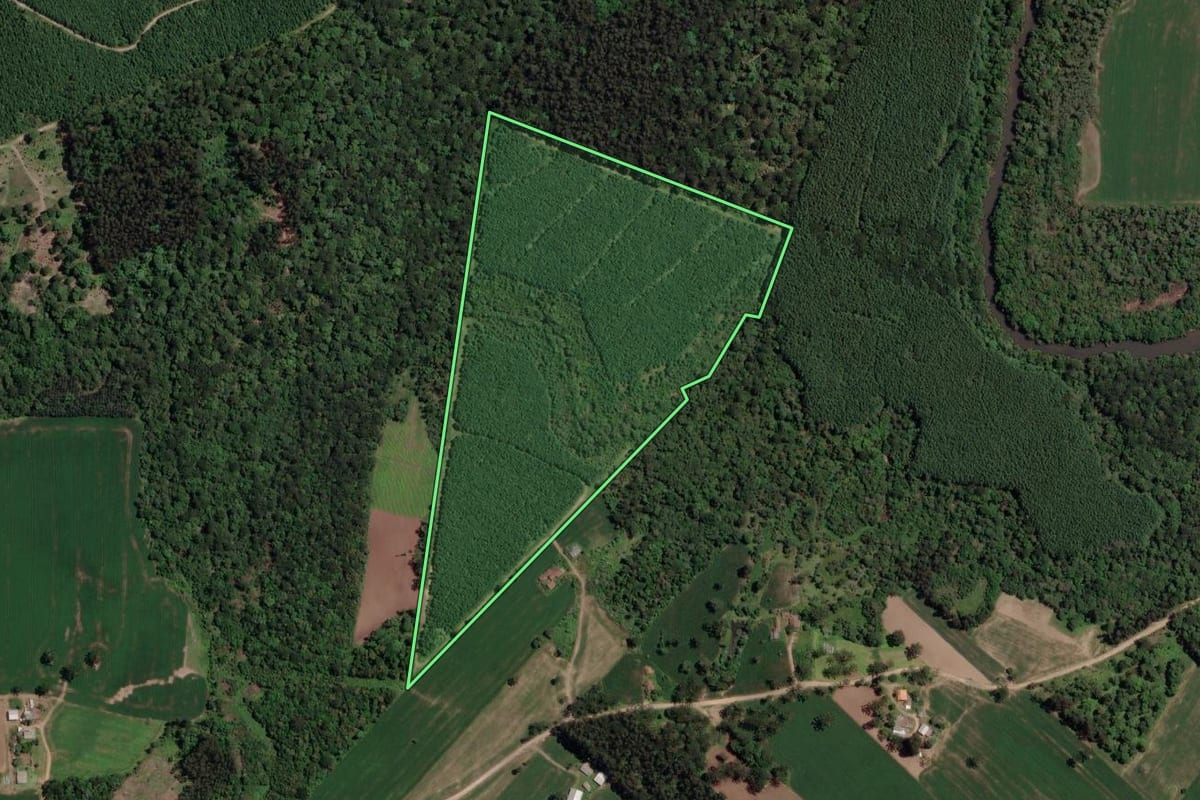 Imagem de satélite do imóvel rural em Paulo Frontin (PR), com o contorno declarado no CAR desenhado por cima.