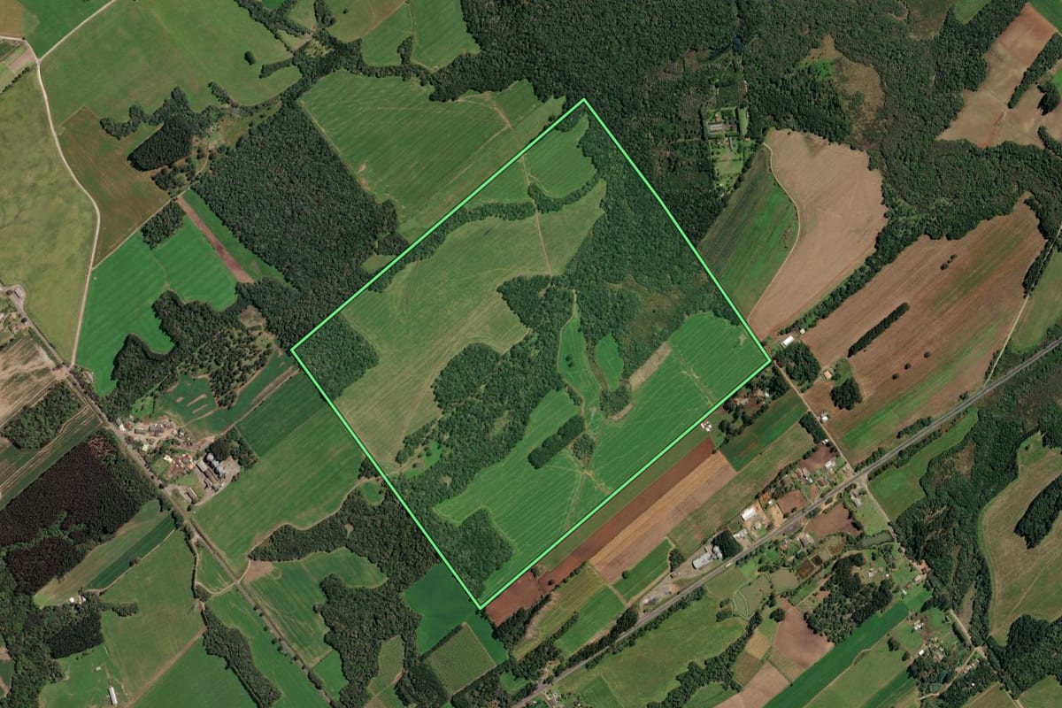 Imagem de satélite do imóvel rural em Paulo Frontin (PR), com o contorno declarado no CAR desenhado por cima.