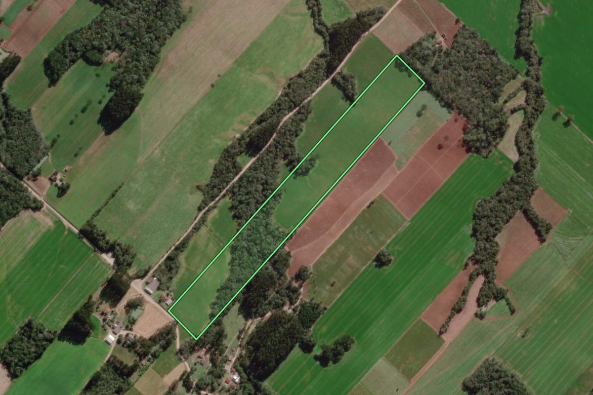 Imagem de satélite do imóvel rural em Paulo Frontin (PR), com o contorno declarado no CAR desenhado por cima.