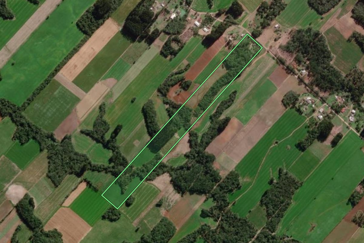 Imagem de satélite do imóvel rural em Paulo Frontin (PR), com o contorno declarado no CAR desenhado por cima.