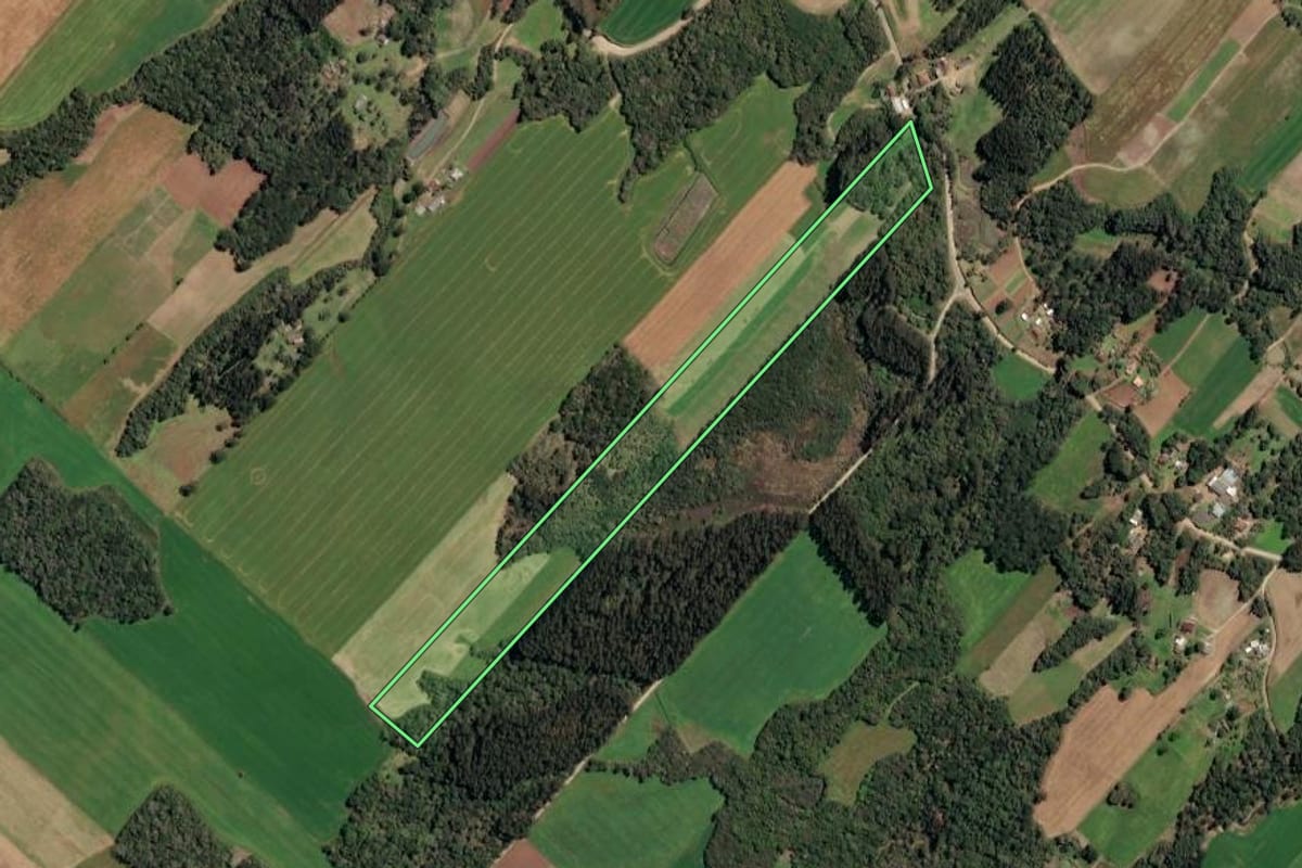 Imagem de satélite do imóvel rural em Paulo Frontin (PR), com o contorno declarado no CAR desenhado por cima.