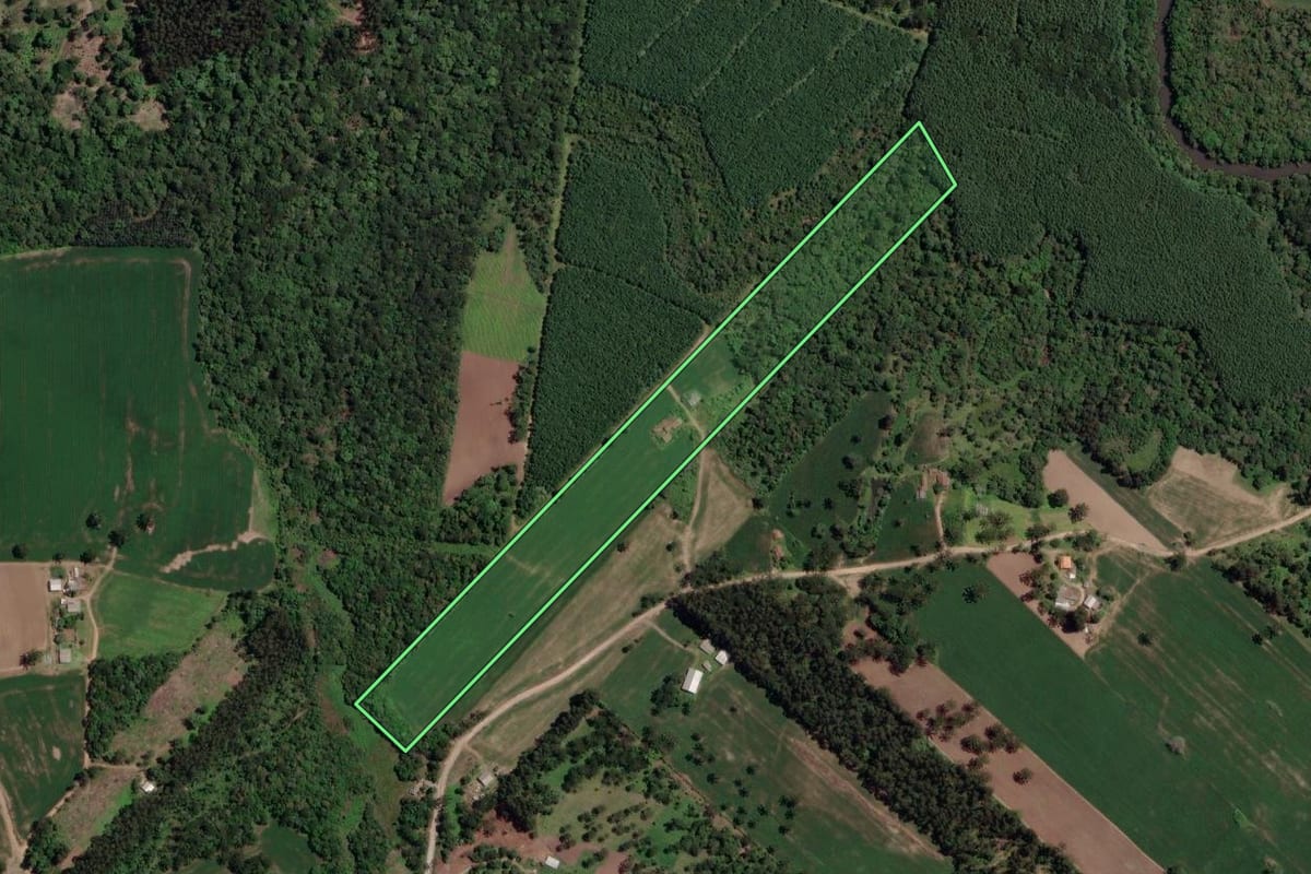 Imagem de satélite do imóvel rural em Paulo Frontin (PR), com o contorno declarado no CAR desenhado por cima.