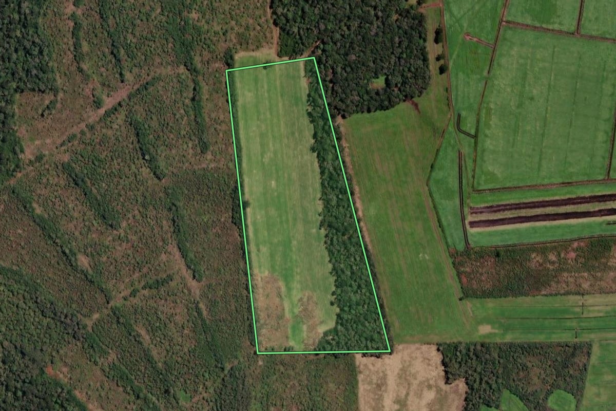Imagem de satélite do imóvel rural em Paulo Frontin (PR), com o contorno declarado no CAR desenhado por cima.