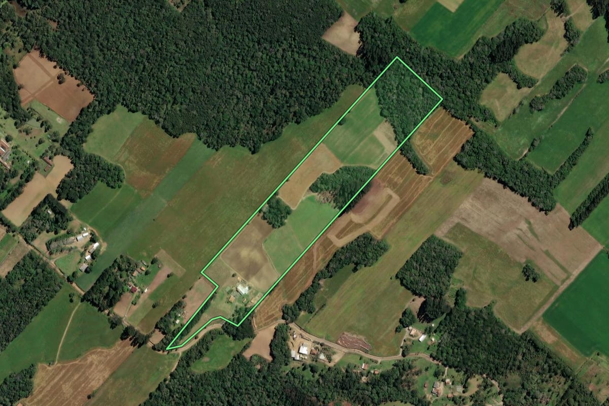 Imagem de satélite do imóvel rural em Paulo Frontin (PR), com o contorno declarado no CAR desenhado por cima.