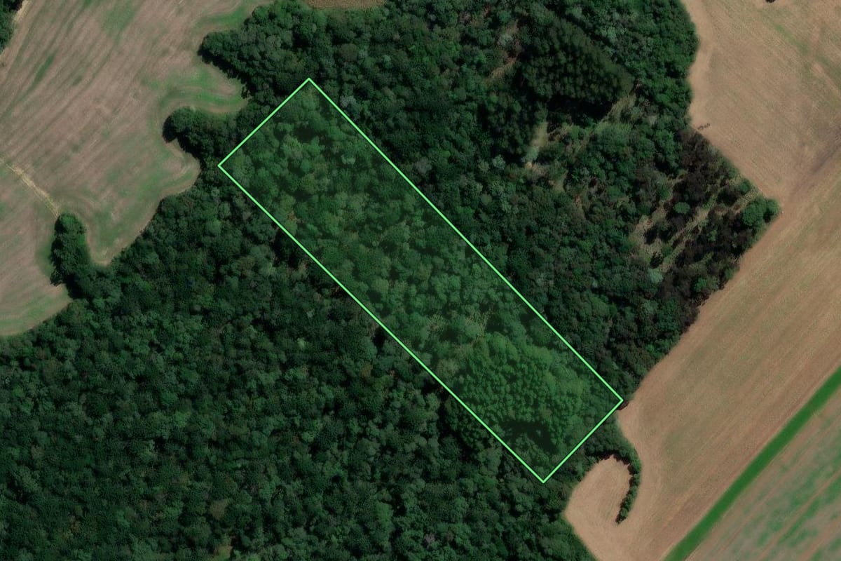Imagem de satélite do imóvel rural em Paulo Frontin (PR), com o contorno declarado no CAR desenhado por cima.