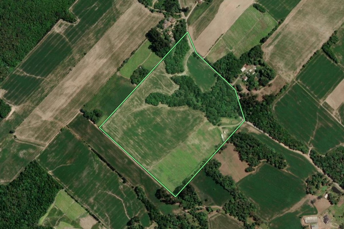 Imagem de satélite do imóvel rural em Paulo Frontin (PR), com o contorno declarado no CAR desenhado por cima.