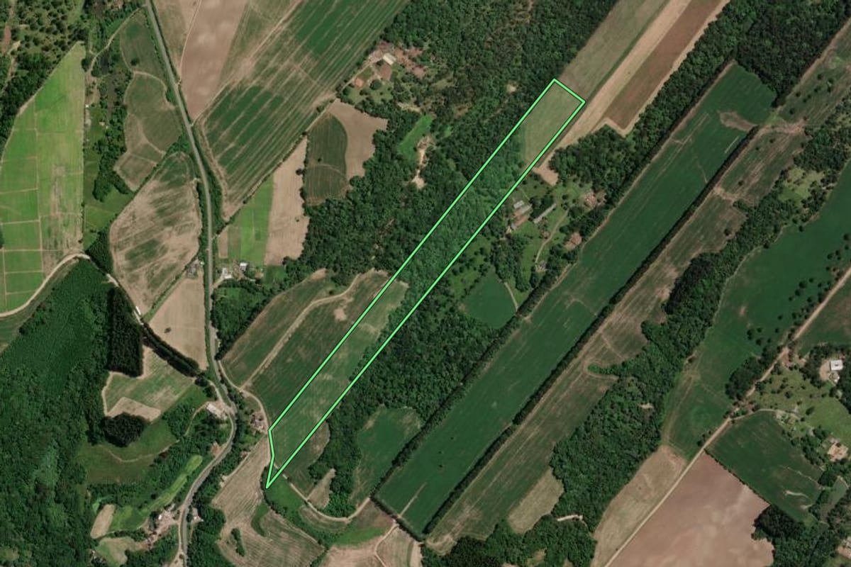 Imagem de satélite do imóvel rural em Paulo Frontin (PR), com o contorno declarado no CAR desenhado por cima.