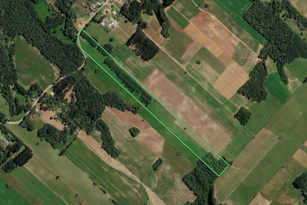Imagem de satélite do imóvel rural em Paulo Frontin (PR), com o contorno declarado no CAR desenhado por cima.