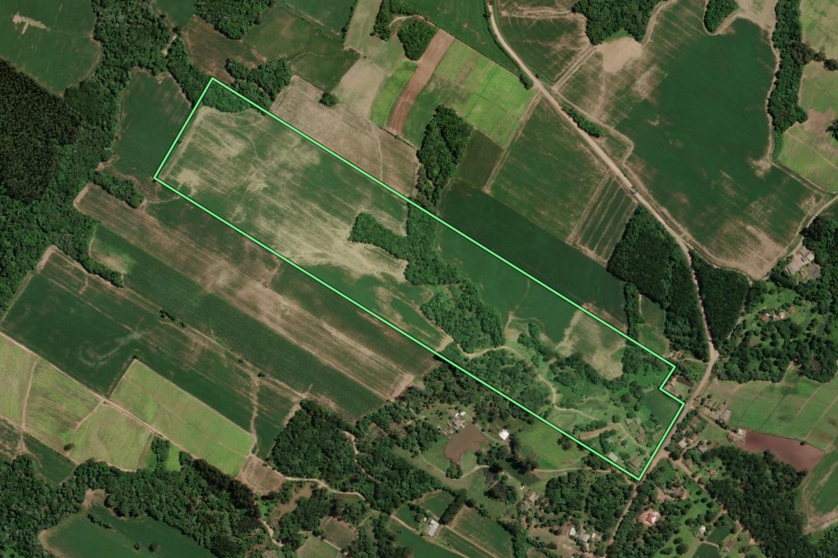 Imagem de satélite do imóvel rural em Paulo Frontin (PR), com o contorno declarado no CAR desenhado por cima.