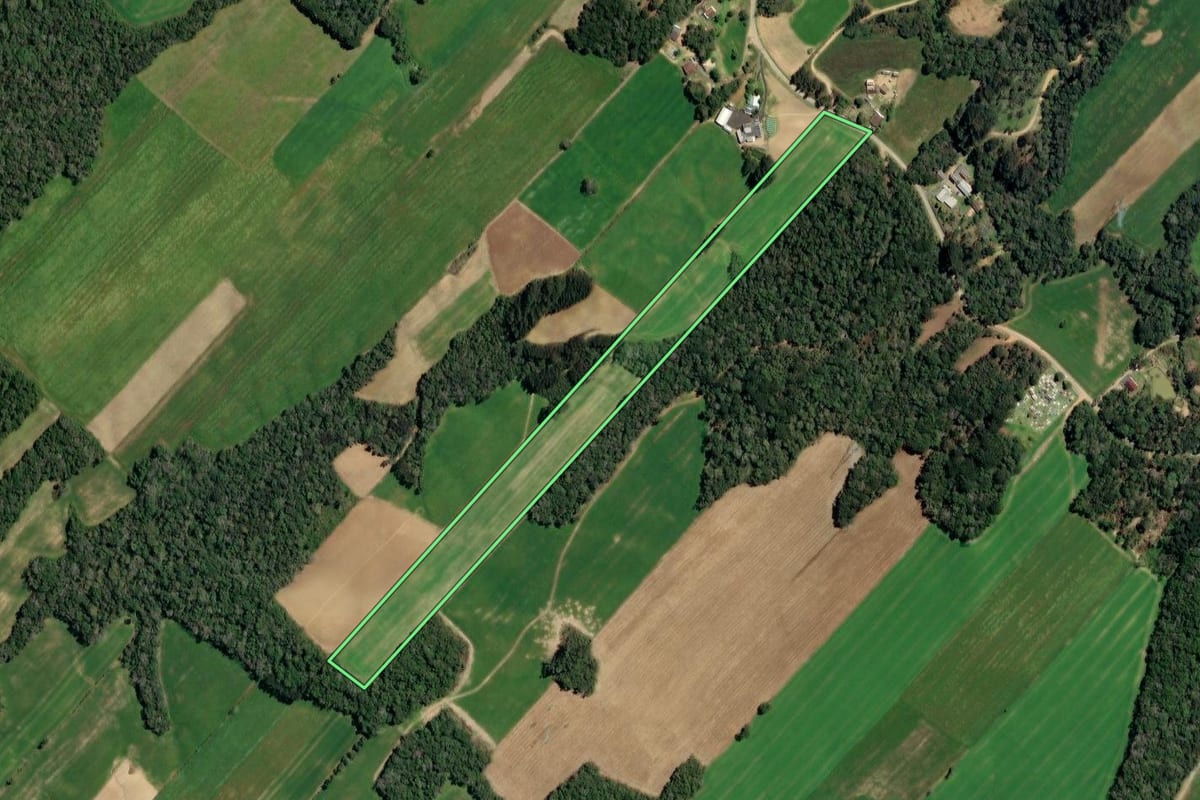 Imagem de satélite do imóvel rural em Paulo Frontin (PR), com o contorno declarado no CAR desenhado por cima.