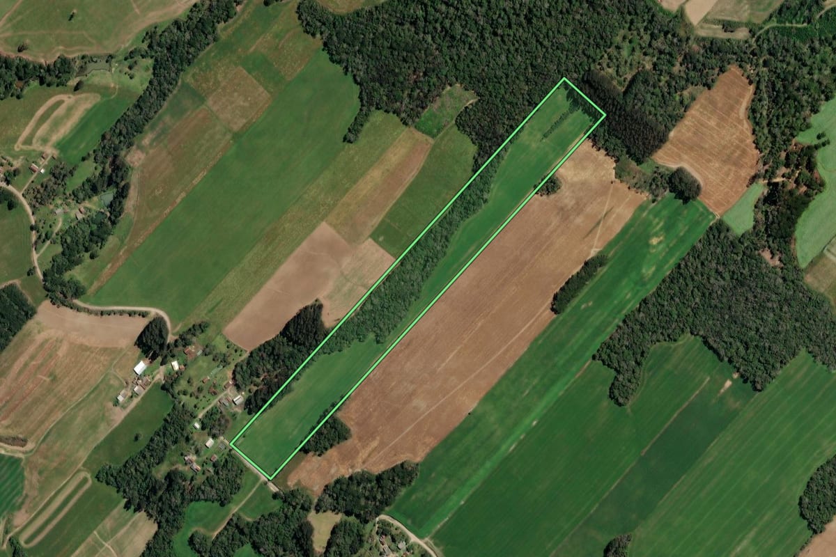 Imagem de satélite do imóvel rural em Paulo Frontin (PR), com o contorno declarado no CAR desenhado por cima.