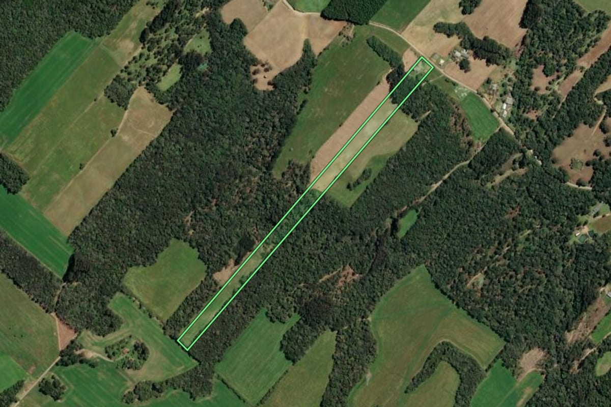 Imagem de satélite do imóvel rural em Paulo Frontin (PR), com o contorno declarado no CAR desenhado por cima.
