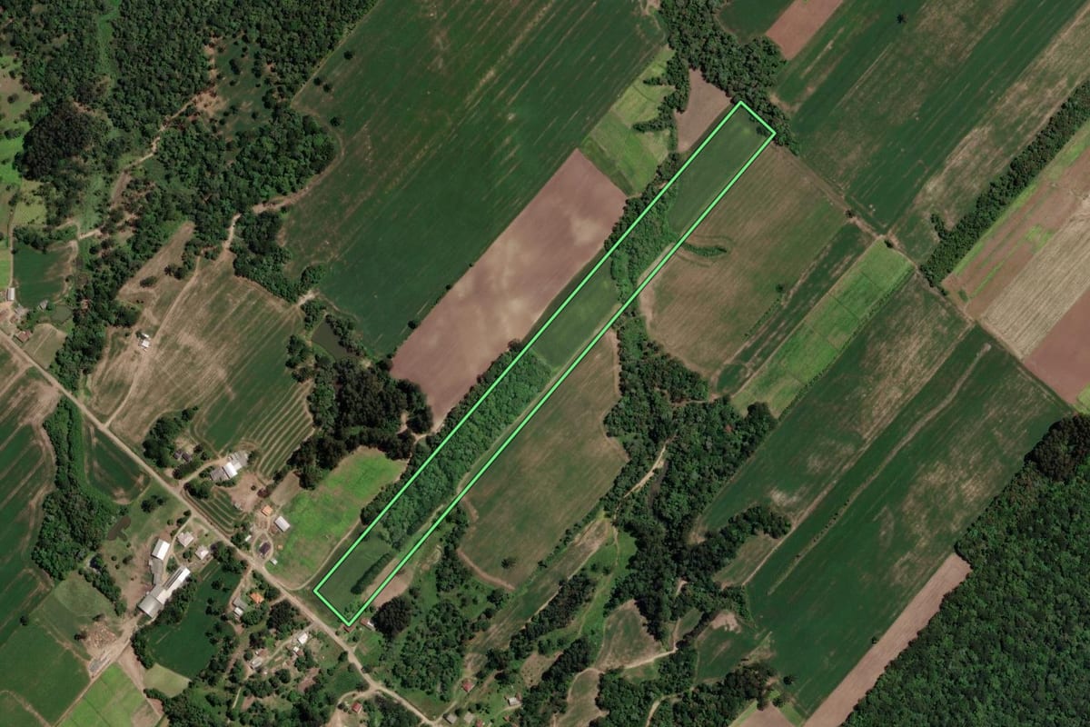 Imagem de satélite do imóvel rural em Paulo Frontin (PR), com o contorno declarado no CAR desenhado por cima.