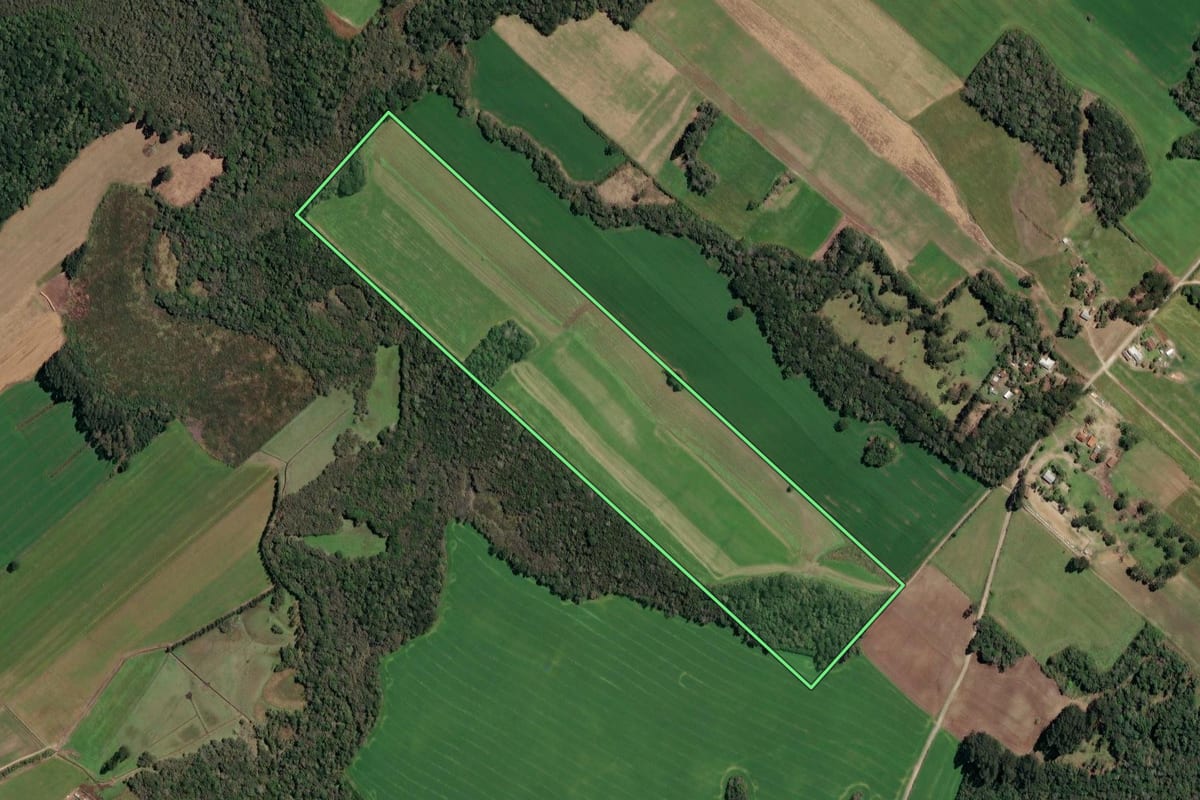 Imagem de satélite do imóvel rural em Paulo Frontin (PR), com o contorno declarado no CAR desenhado por cima.
