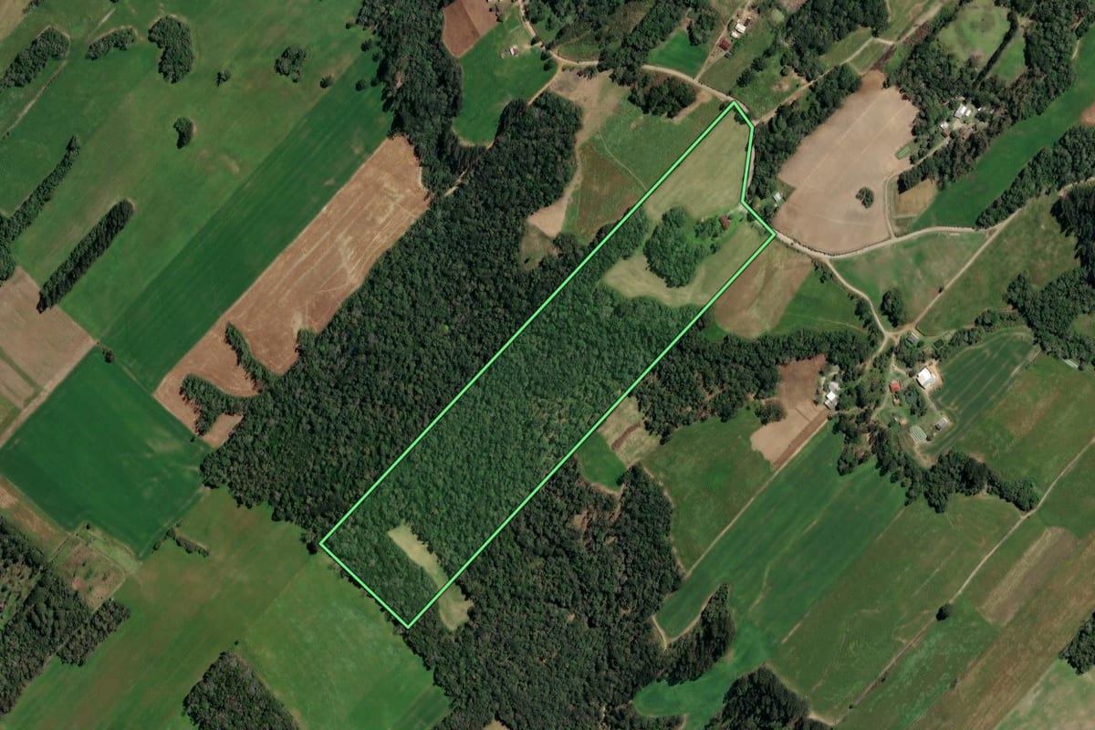Imagem de satélite do imóvel rural em Paulo Frontin (PR), com o contorno declarado no CAR desenhado por cima.