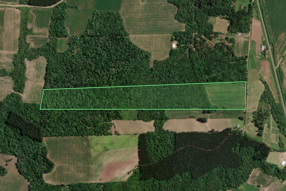 Imagem de satélite do imóvel rural em Paulo Frontin (PR), com o contorno declarado no CAR desenhado por cima.