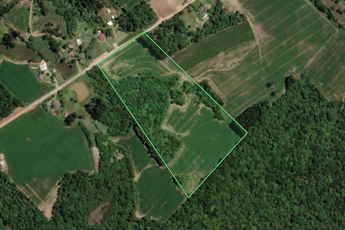 Imagem de satélite do imóvel rural em Paulo Frontin (PR), com o contorno declarado no CAR desenhado por cima.
