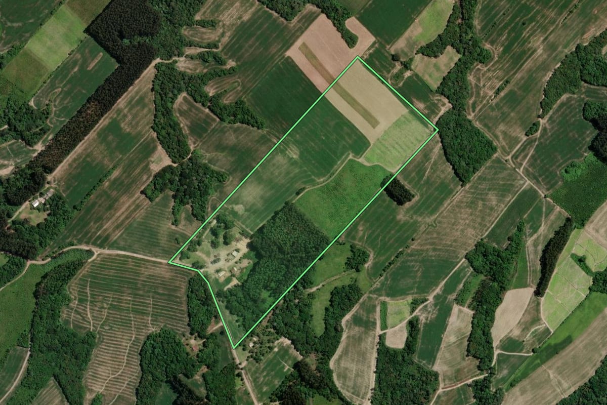 Imagem de satélite do imóvel rural em Paulo Frontin (PR), com o contorno declarado no CAR desenhado por cima.
