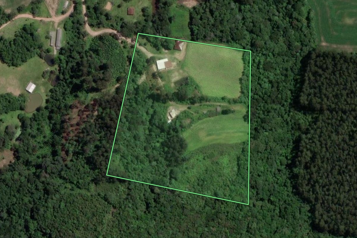Imagem de satélite do imóvel rural em Paulo Frontin (PR), com o contorno declarado no CAR desenhado por cima.