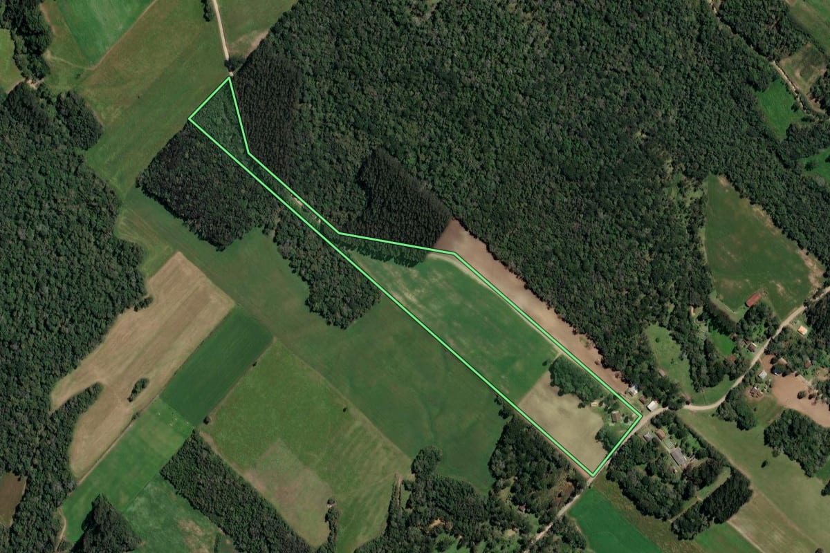 Imagem de satélite do imóvel rural em Paulo Frontin (PR), com o contorno declarado no CAR desenhado por cima.