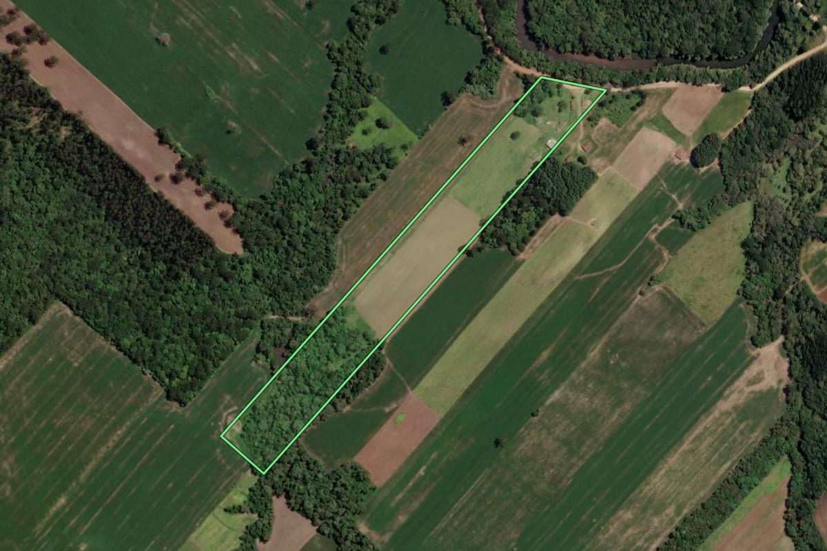 Imagem de satélite do imóvel rural em Paulo Frontin (PR), com o contorno declarado no CAR desenhado por cima.