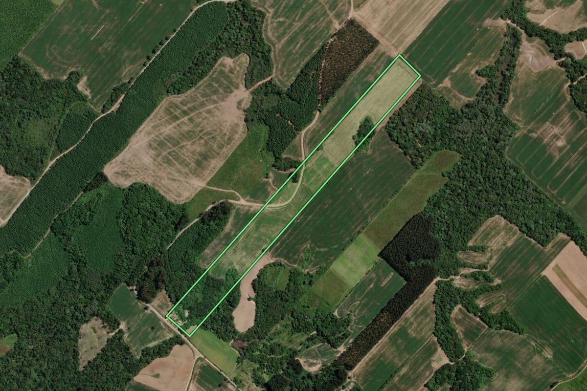 Imagem de satélite do imóvel rural em Paulo Frontin (PR), com o contorno declarado no CAR desenhado por cima.