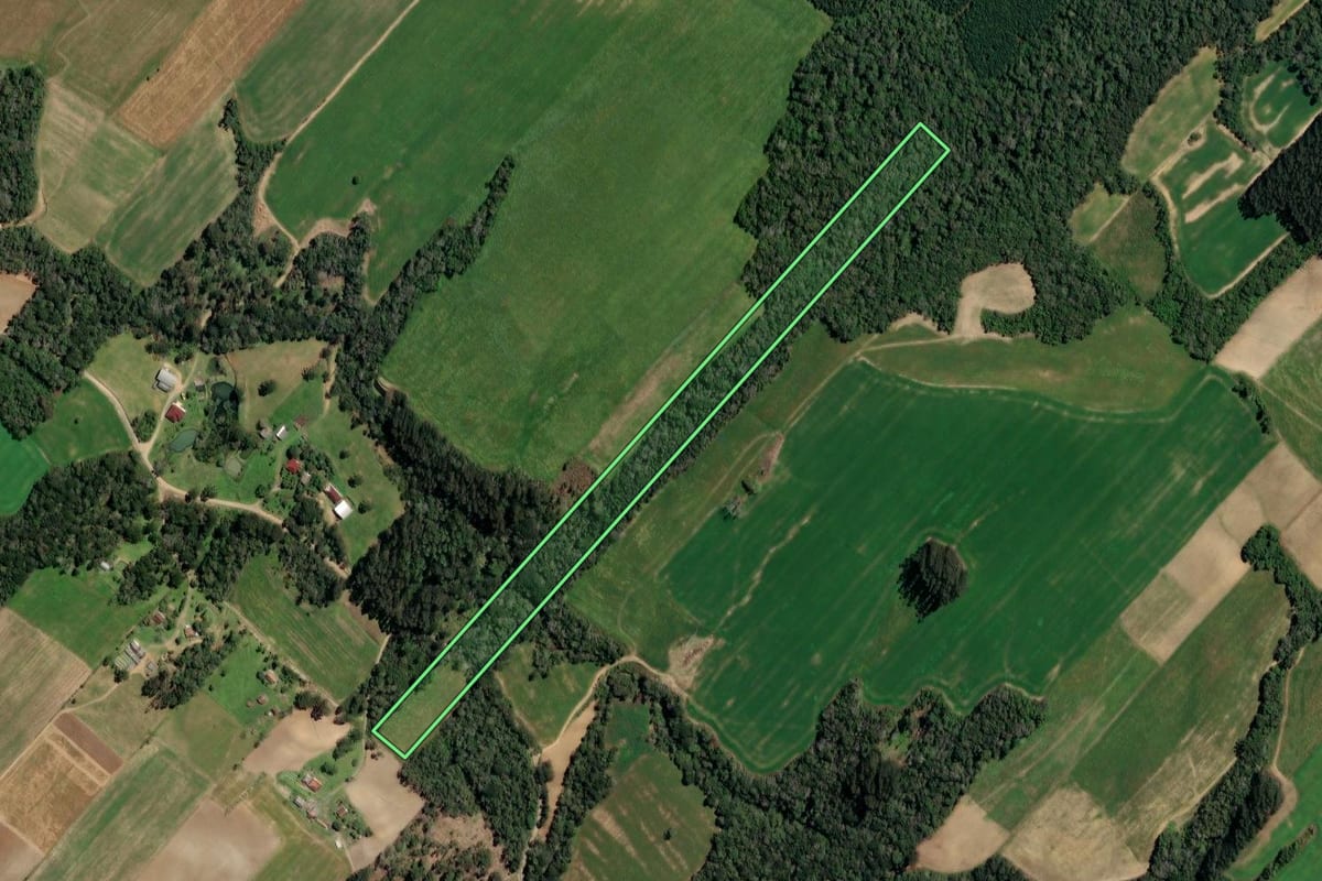 Imagem de satélite do imóvel rural em Paulo Frontin (PR), com o contorno declarado no CAR desenhado por cima.