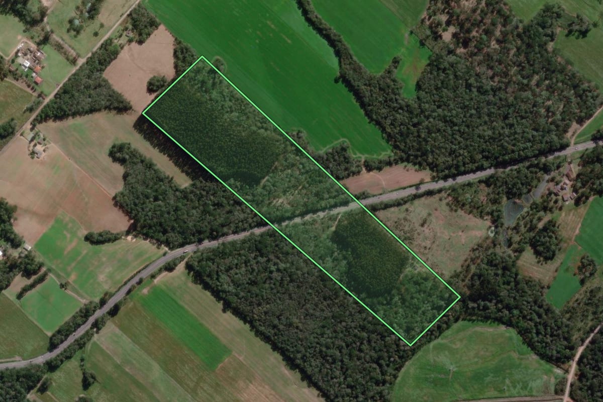 Imagem de satélite do imóvel rural em Paulo Frontin (PR), com o contorno declarado no CAR desenhado por cima.