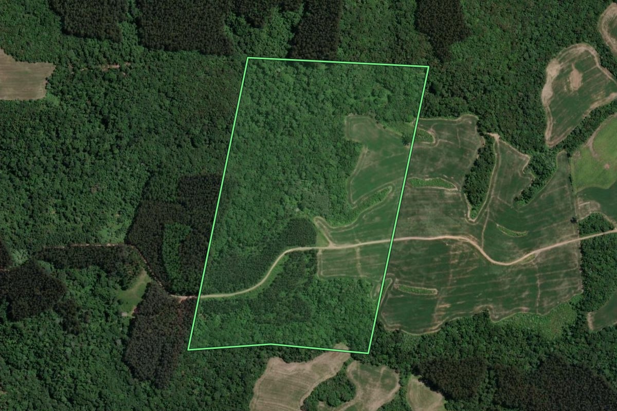 Imagem de satélite do imóvel rural em Paulo Frontin (PR), com o contorno declarado no CAR desenhado por cima.