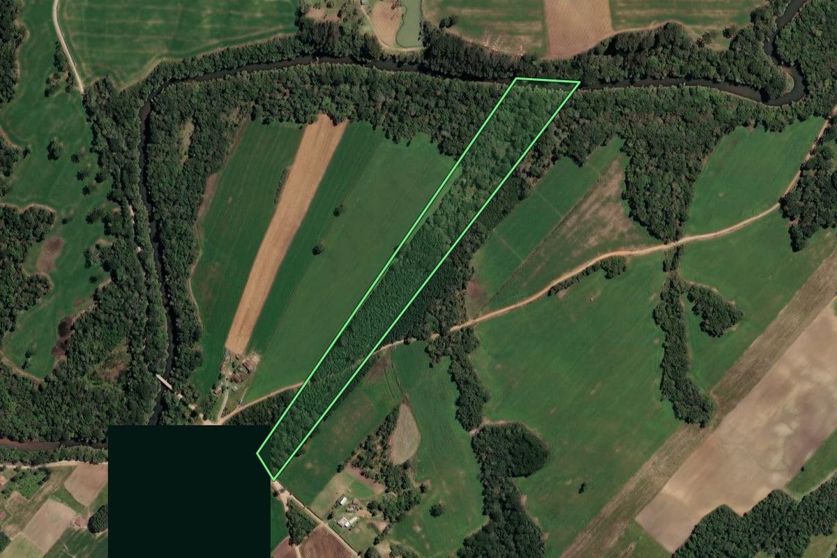 Imagem de satélite do imóvel rural em Paulo Frontin (PR), com o contorno declarado no CAR desenhado por cima.