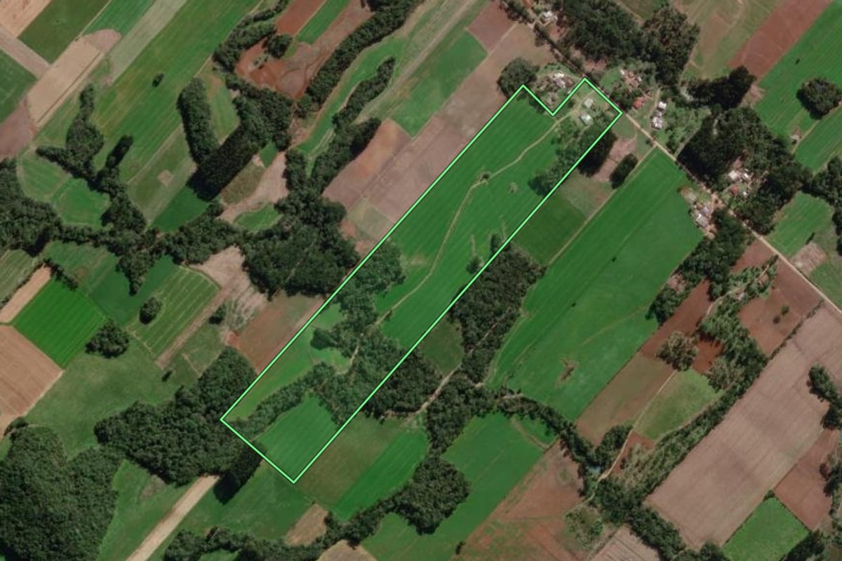 Imagem de satélite do imóvel rural em Paulo Frontin (PR), com o contorno declarado no CAR desenhado por cima.