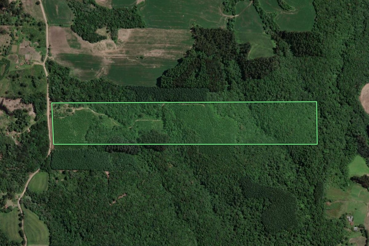 Imagem de satélite do imóvel rural em Paulo Frontin (PR), com o contorno declarado no CAR desenhado por cima.