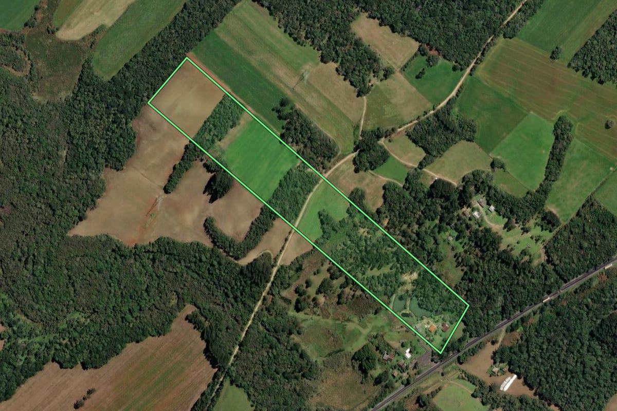 Imagem de satélite do imóvel rural em Paulo Frontin (PR), com o contorno declarado no CAR desenhado por cima.
