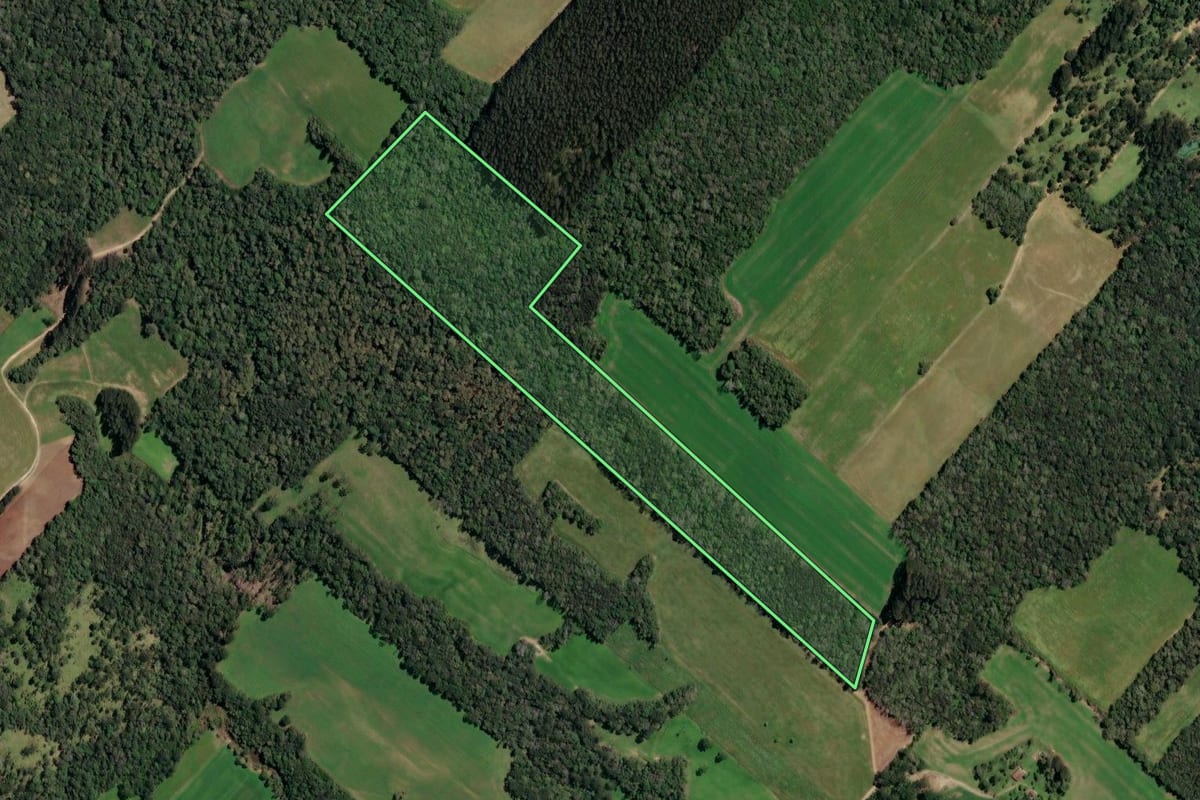 Imagem de satélite do imóvel rural em Paulo Frontin (PR), com o contorno declarado no CAR desenhado por cima.