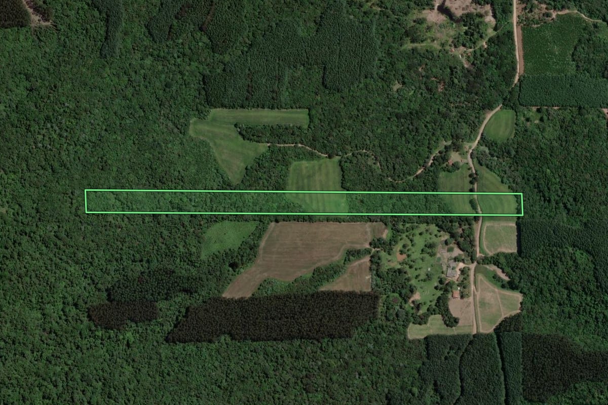 Imagem de satélite do imóvel rural em Paulo Frontin (PR), com o contorno declarado no CAR desenhado por cima.