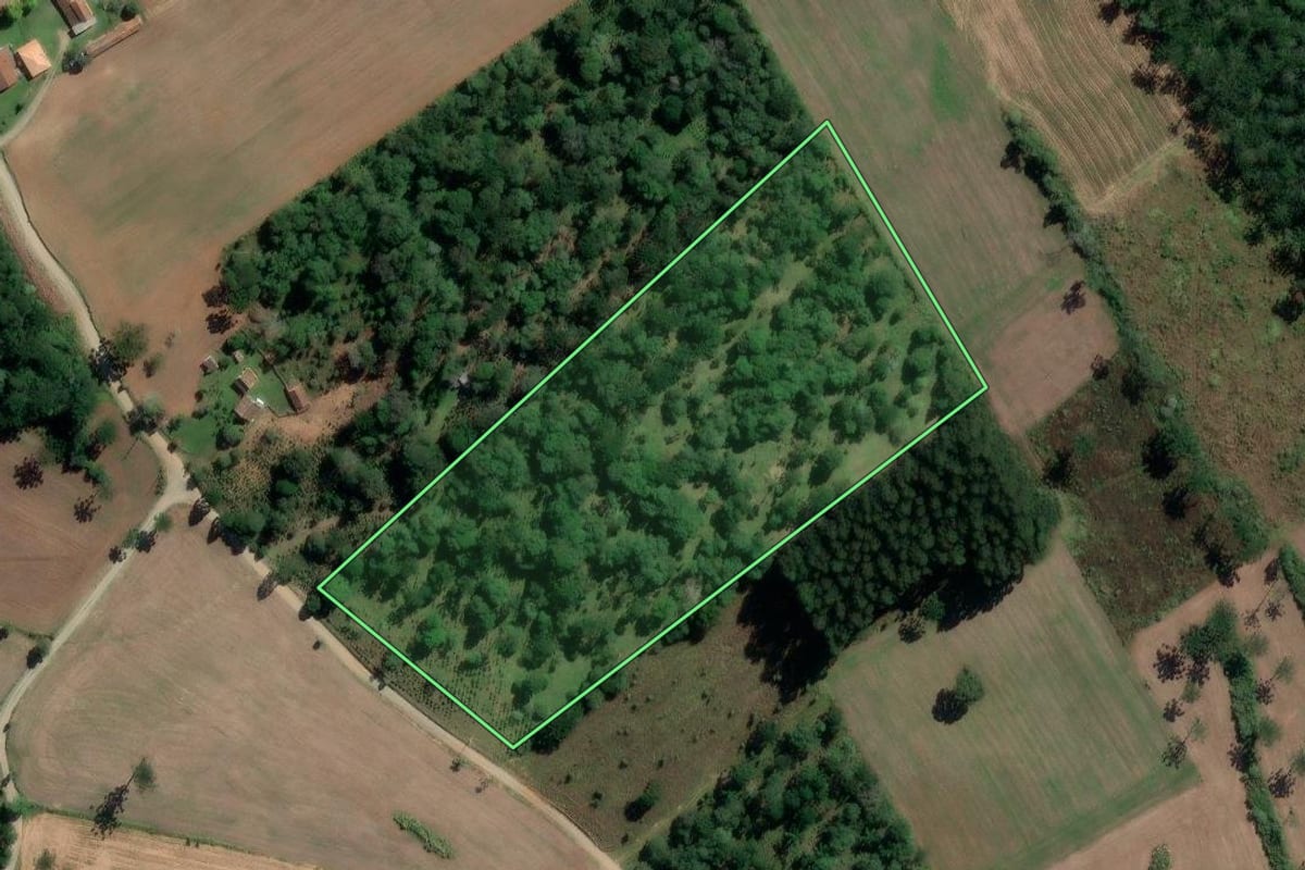 Imagem de satélite do imóvel rural em Paulo Frontin (PR), com o contorno declarado no CAR desenhado por cima.