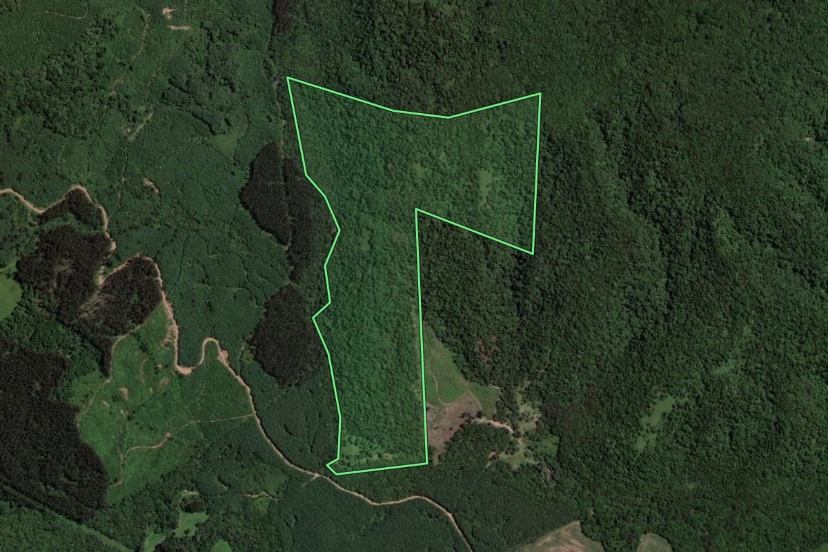 Imagem de satélite do imóvel rural em Paulo Frontin (PR), com o contorno declarado no CAR desenhado por cima.