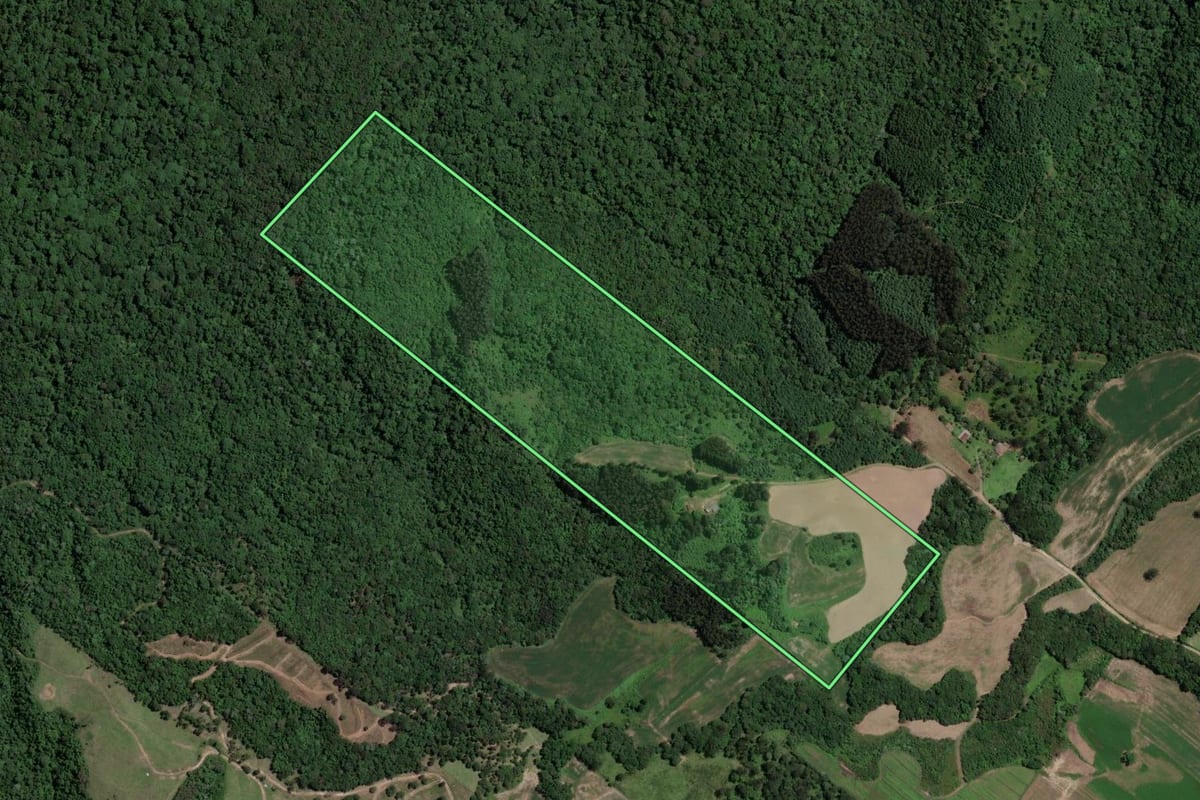 Imagem de satélite do imóvel rural em Paulo Frontin (PR), com o contorno declarado no CAR desenhado por cima.