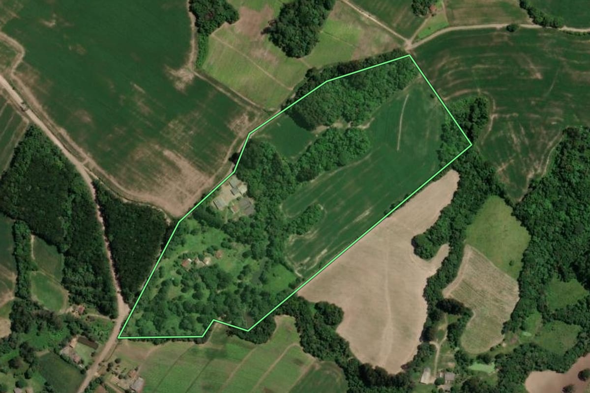 Imagem de satélite do imóvel rural em Paulo Frontin (PR), com o contorno declarado no CAR desenhado por cima.