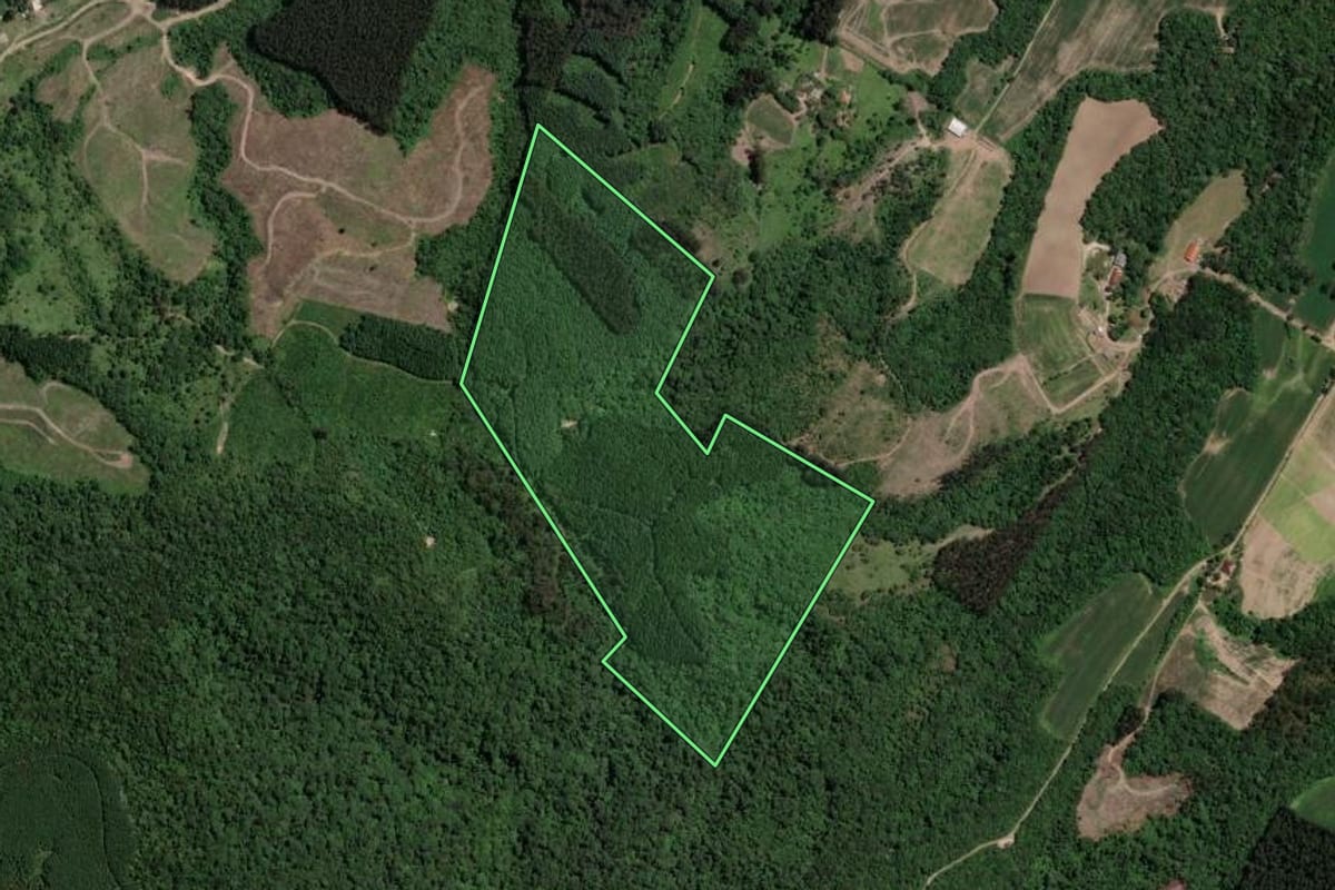 Imagem de satélite do imóvel rural em Paulo Frontin (PR), com o contorno declarado no CAR desenhado por cima.