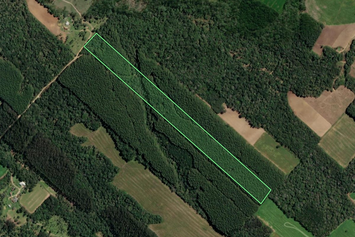 Imagem de satélite do imóvel rural em Paulo Frontin (PR), com o contorno declarado no CAR desenhado por cima.
