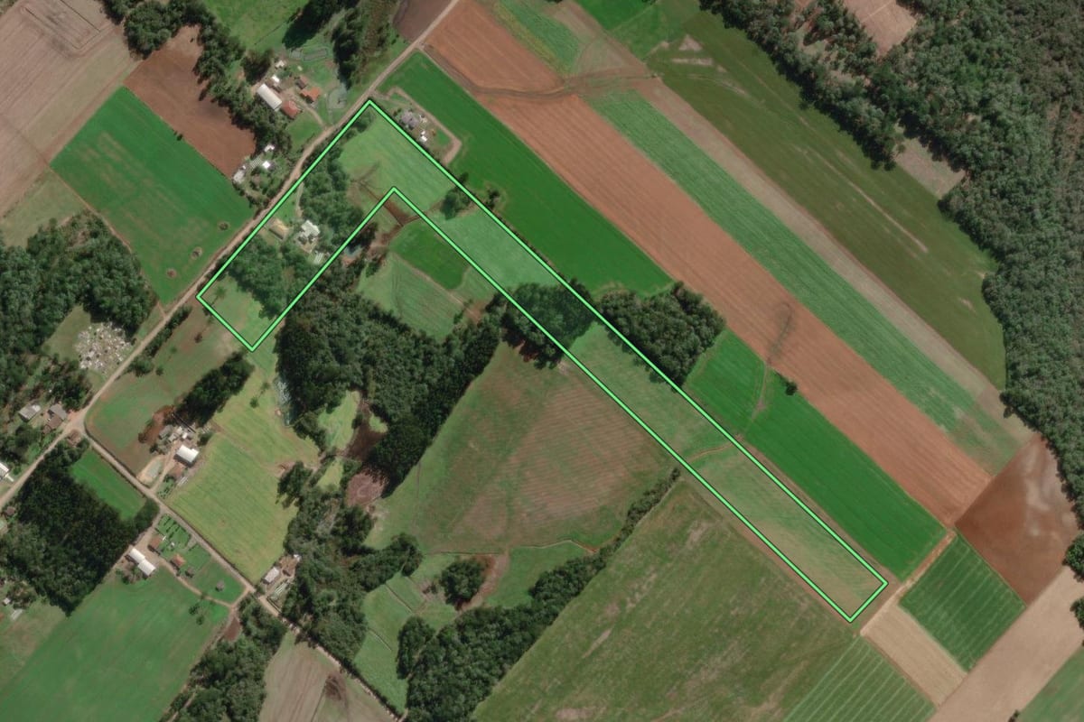 Imagem de satélite do imóvel rural em Paulo Frontin (PR), com o contorno declarado no CAR desenhado por cima.