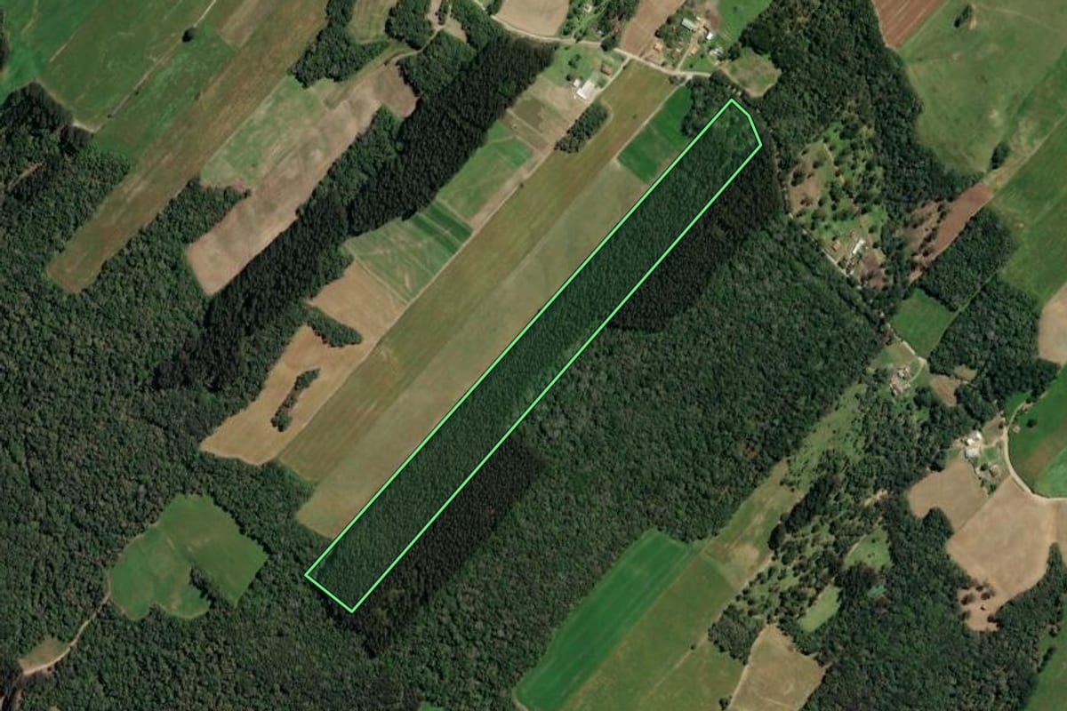 Imagem de satélite do imóvel rural em Paulo Frontin (PR), com o contorno declarado no CAR desenhado por cima.