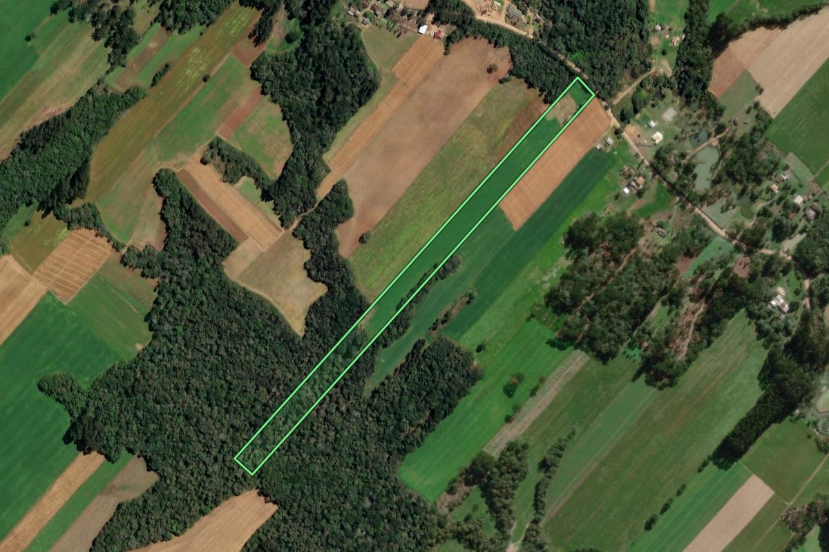 Imagem de satélite do imóvel rural em Paulo Frontin (PR), com o contorno declarado no CAR desenhado por cima.