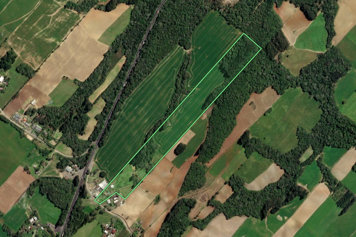 Imagem de satélite do imóvel rural em Paulo Frontin (PR), com o contorno declarado no CAR desenhado por cima.
